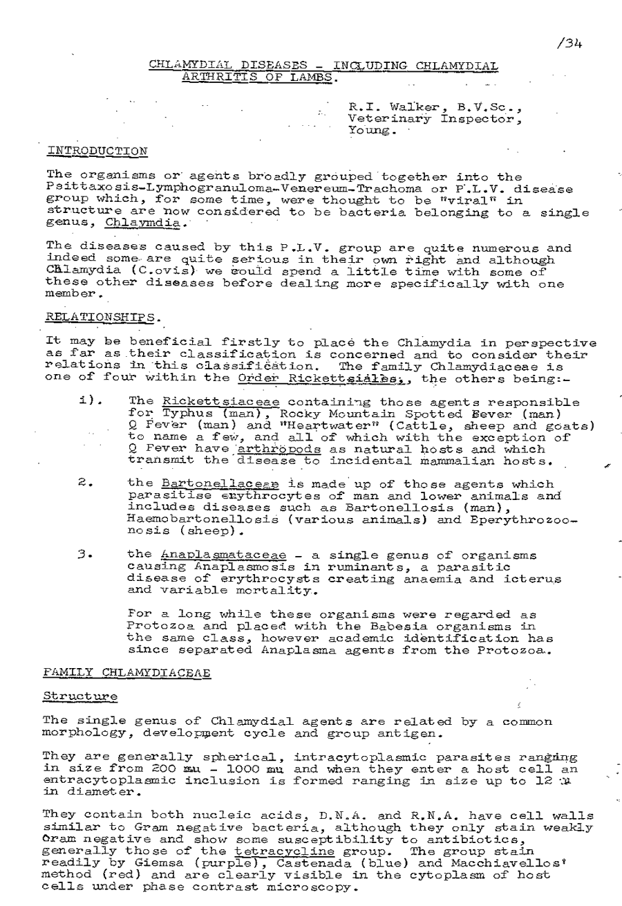 1975 page 34